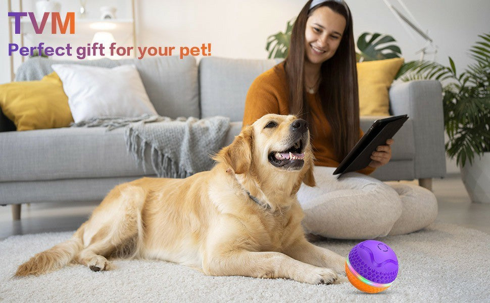Interactive Dog Toys Ball