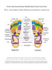 ReflexStep™ Massager Sandals for Plantar Fasciitis Relief and Reflexology Therapy.